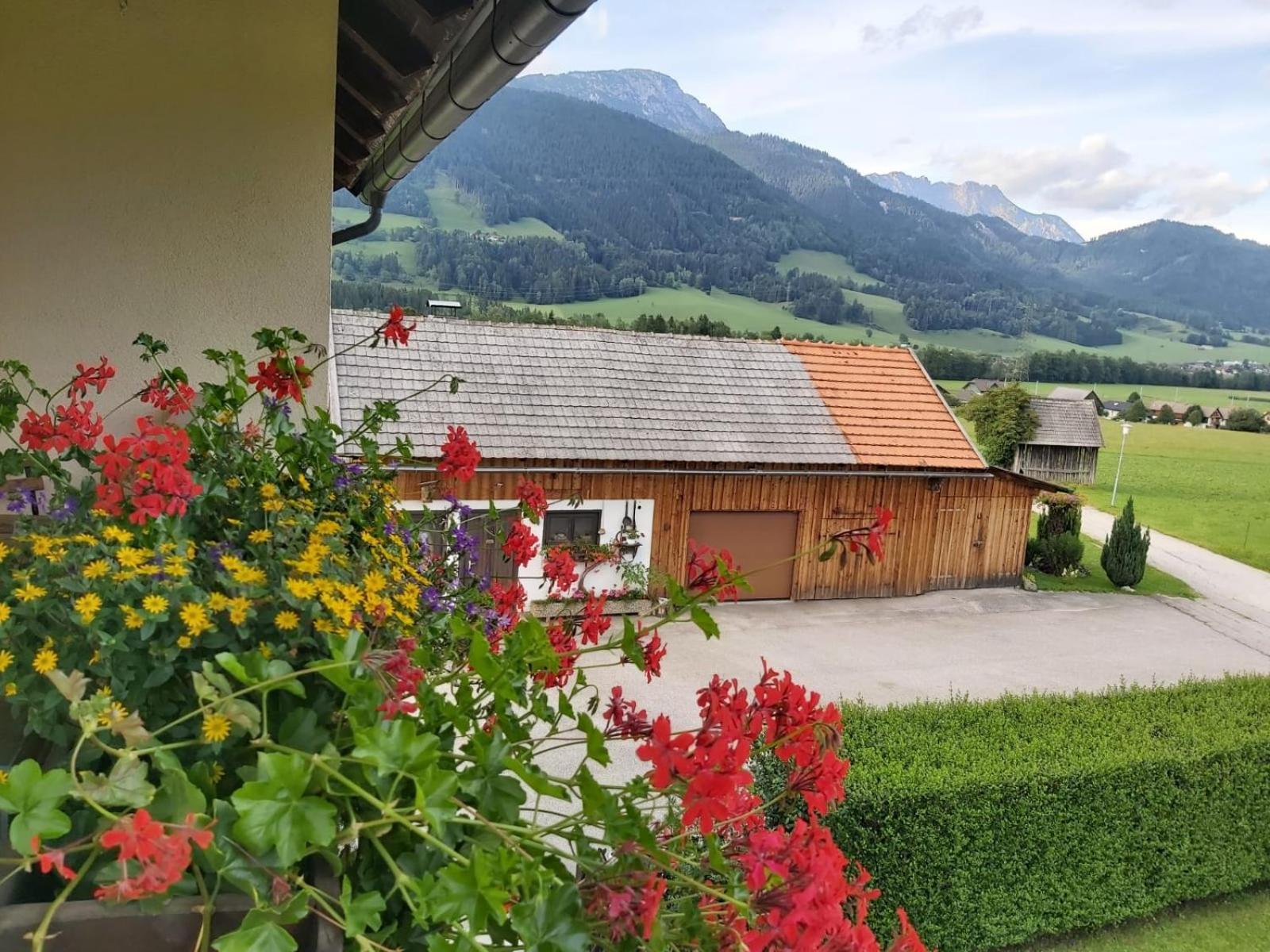 Appartment Luki Haus im Ennstal Exteriör bild