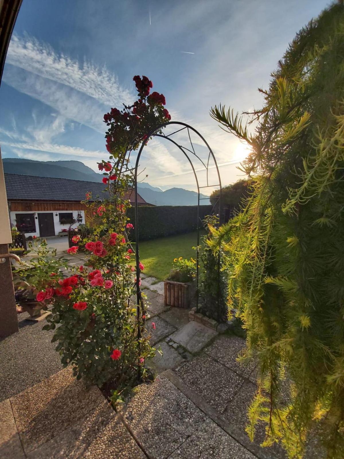 Appartment Luki Haus im Ennstal Exteriör bild